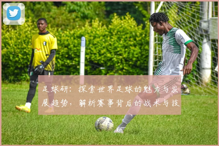 足球研：探索世界足球的魅力与发展趋势，解析赛事背后的战术与技术创新